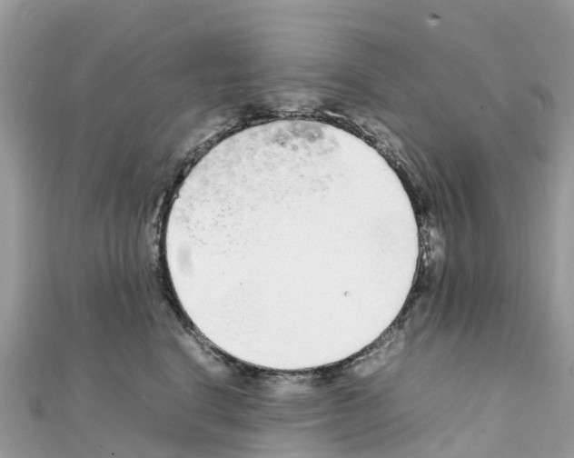 X0000111250664200908131208