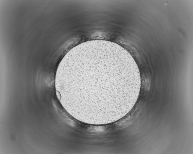 X0000111250665200908131208