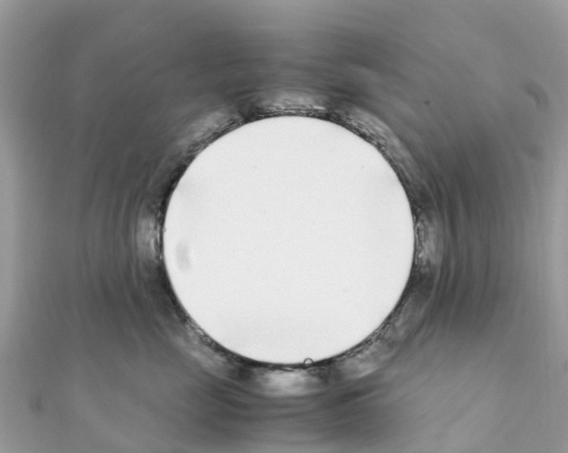 X0000111250669200908131209