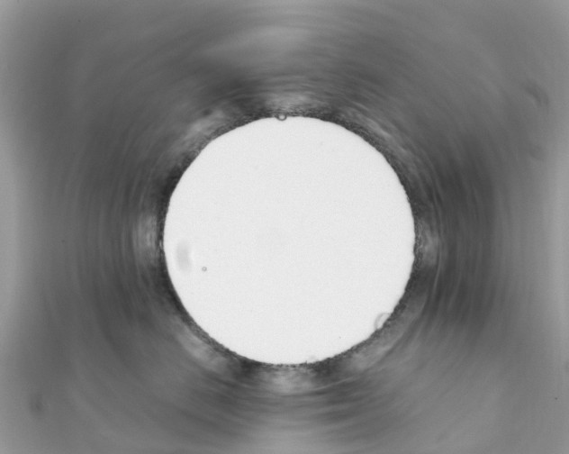 X0000111250670200908131209