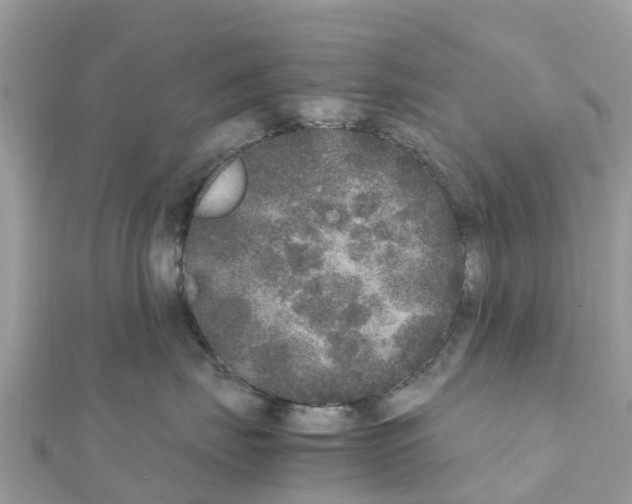 X0000111250671200908131209