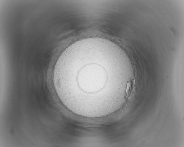 X0000111250672200908131209