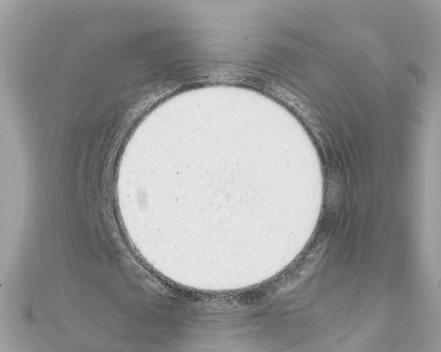 X0000111250673200908131208