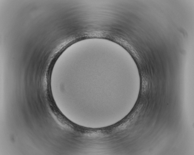 X0000111250674200908131208