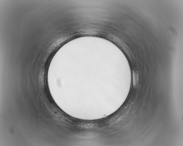 X0000111250675200908131208