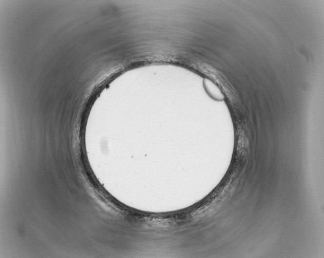 X0000111250677200908131208