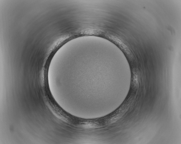 X0000111250678200908131208