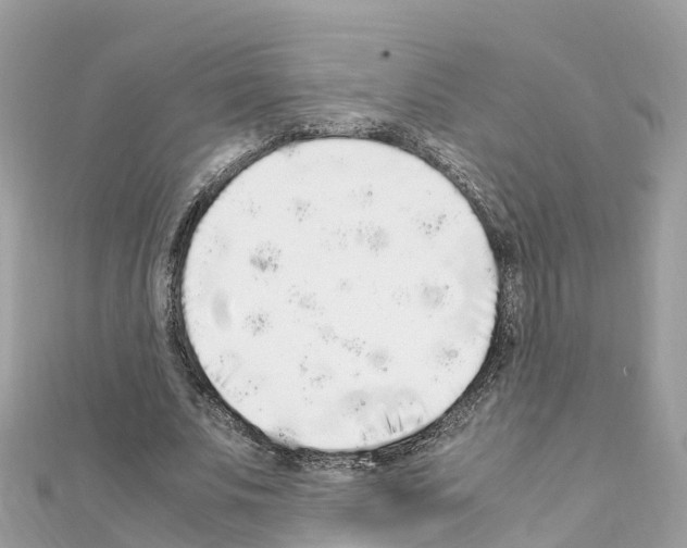 X0000111250679200908131208