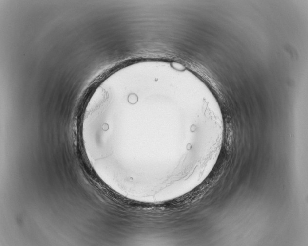 X0000111250680200908131208