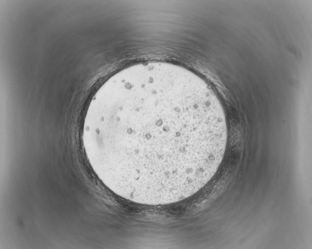 X0000111250681200908131208