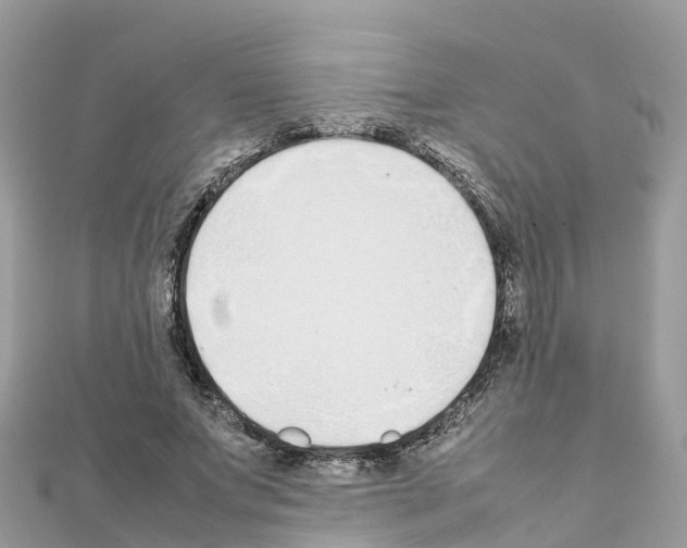 X0000111250687200908131208