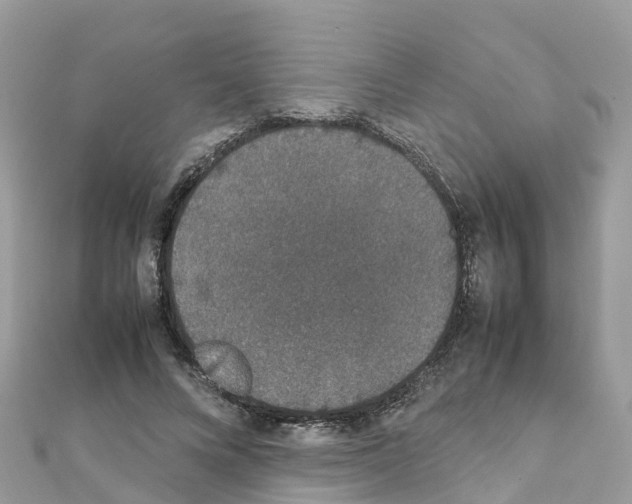 X0000111250688200908131208