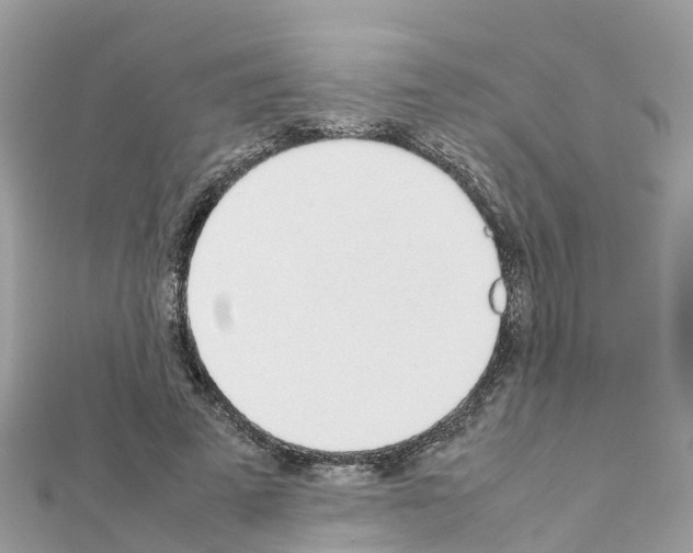 X0000111250689200908131208