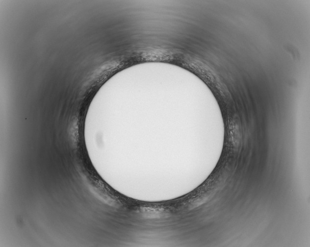 X0000111250690200908131208