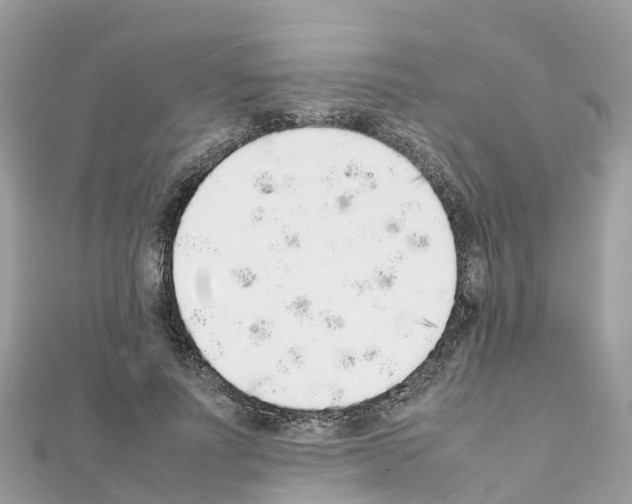 X0000111250691200908131208