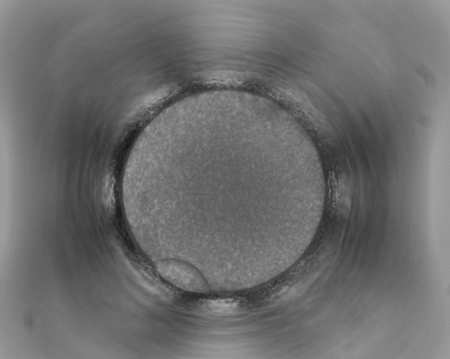 X0000111250692200908131208