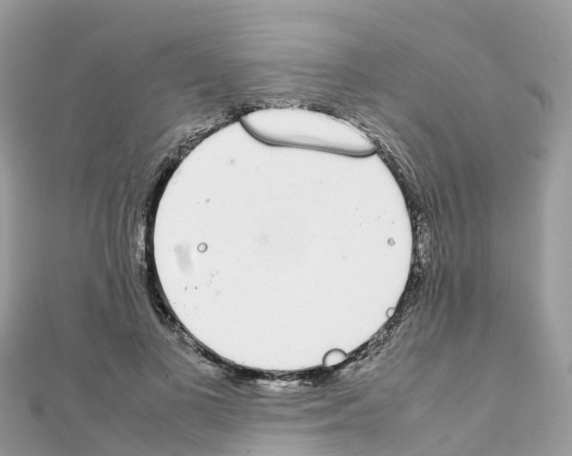 X0000111250693200908131208