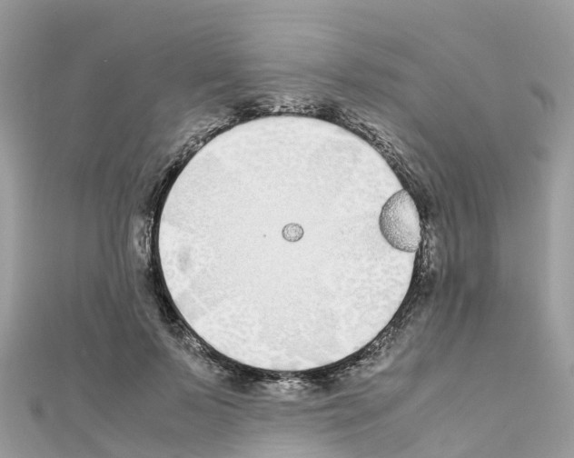 X0000111250695200908131208