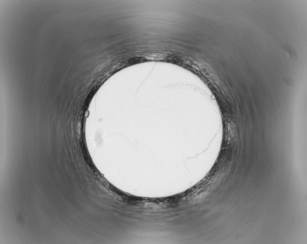 X0000111250697200908131208