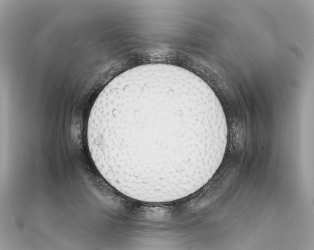 X0000111250698200908131208