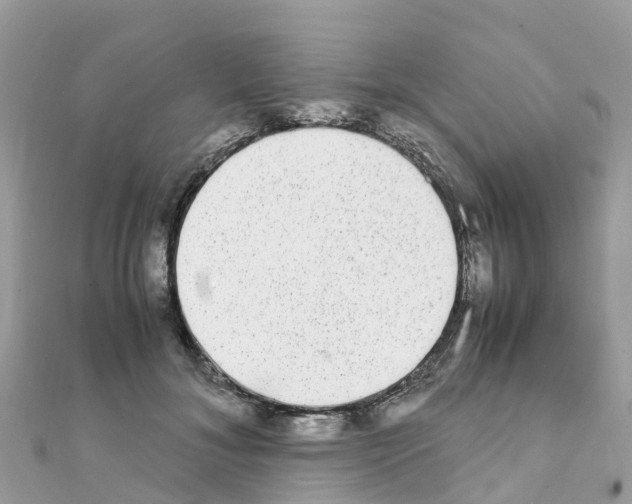 X0000111250700200908131208