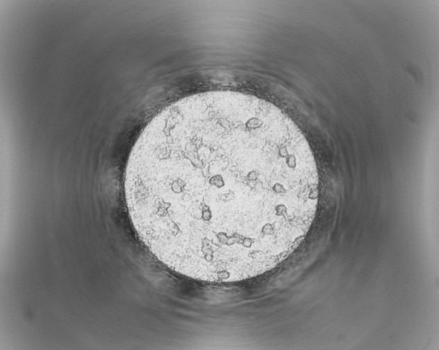 X0000111250707200908131208