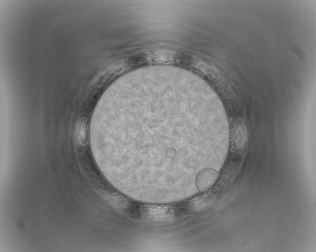 X0000111250709200908131207