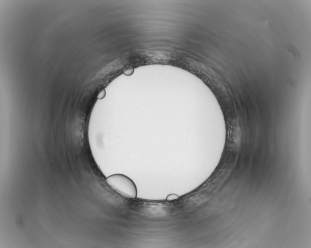 X0000111250710200908131207