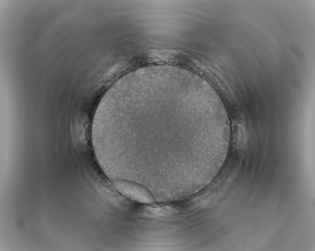 X0000111250712200908131207