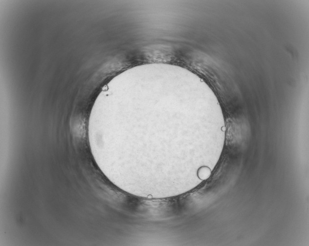 X0000111250713200908131207