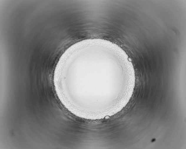 X0000111250716200908131207