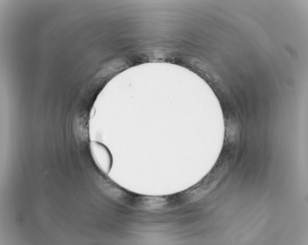 X0000111250719200908131207