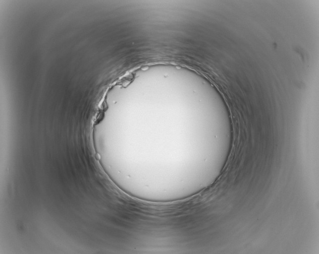 X0000111250720200908131207