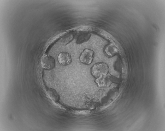 X0000111250721200908131207