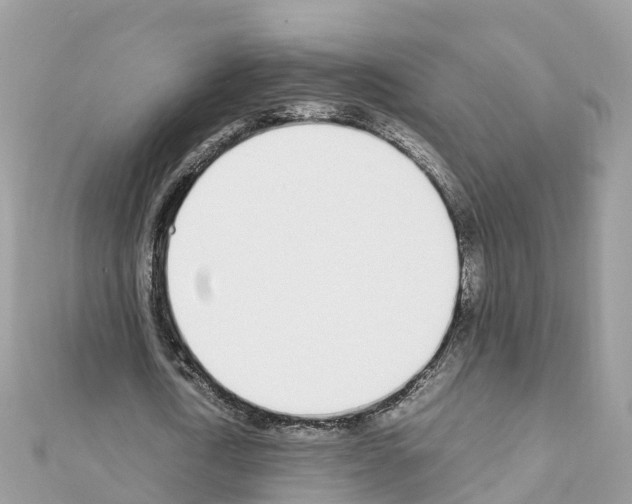 X0000111250722200908131207