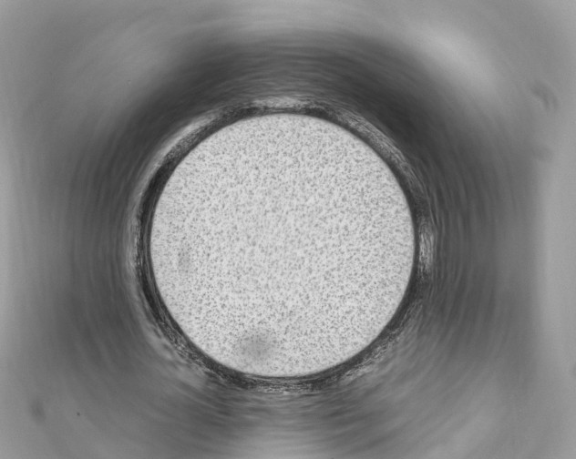 X0000111250724200908131207