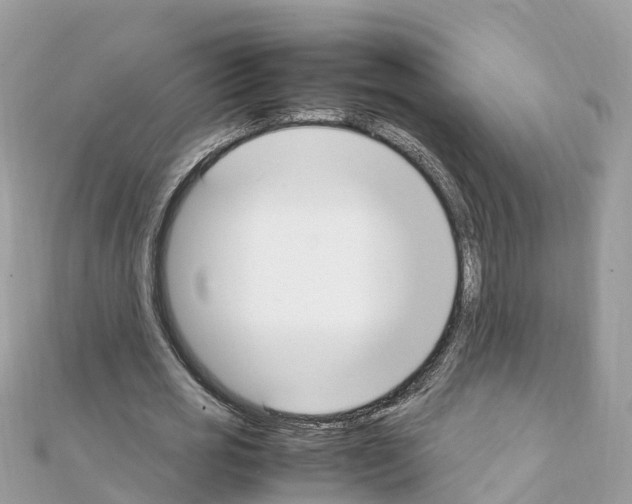 X0000111250725200908131207