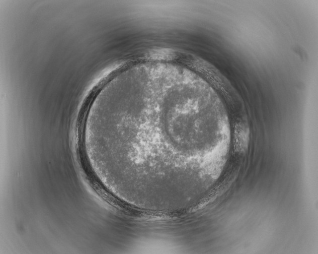 X0000111250726200908131207