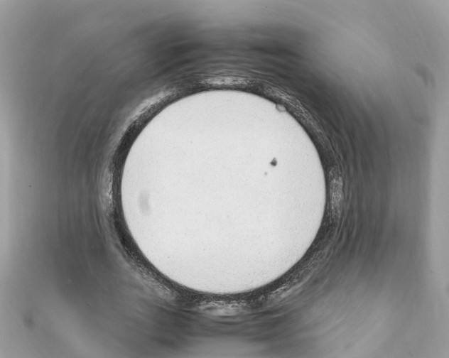 X0000111250727200908131207