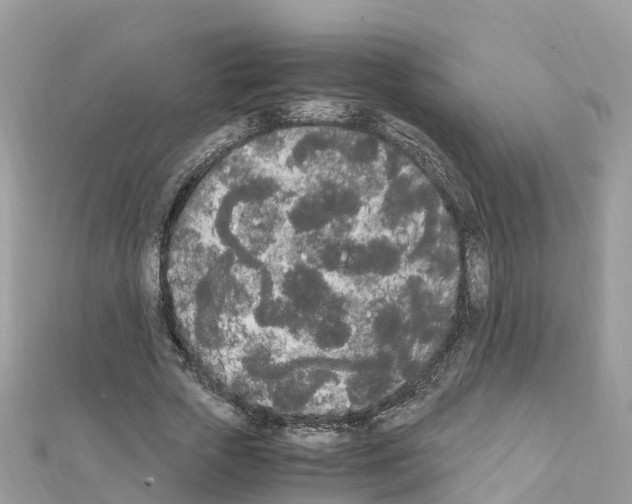 X0000111250729200908131207