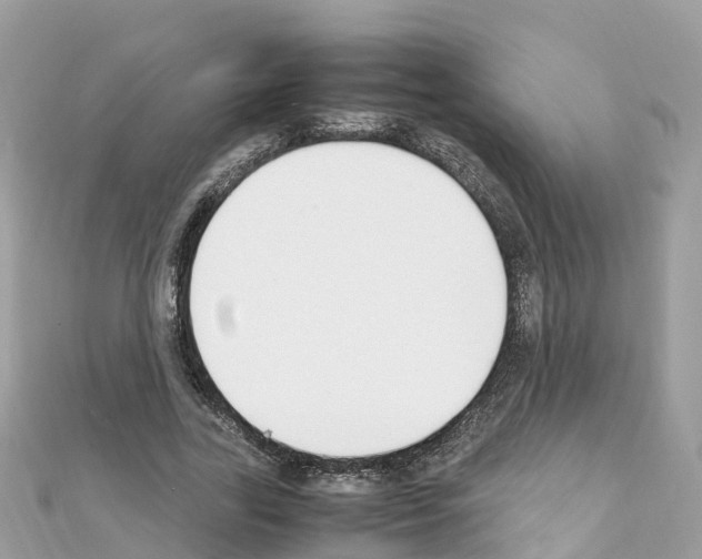 X0000111250731200908131207