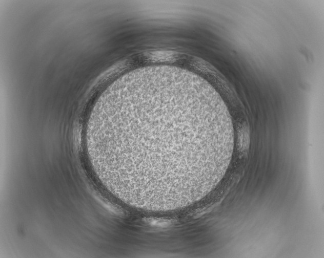 X0000111250733200908131207