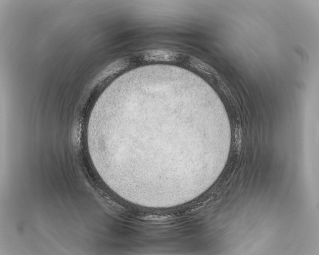 X0000111250735200908131207