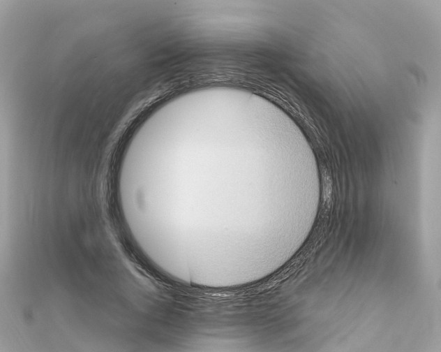 X0000111250736200908131207