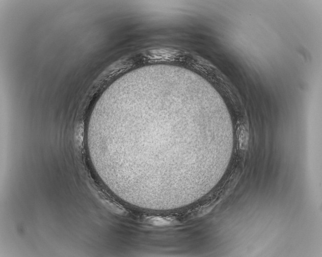 X0000111250737200908131207