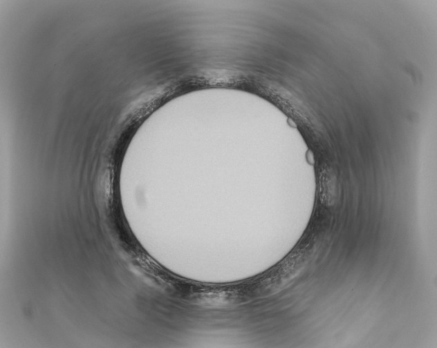 X0000111250740200908131207