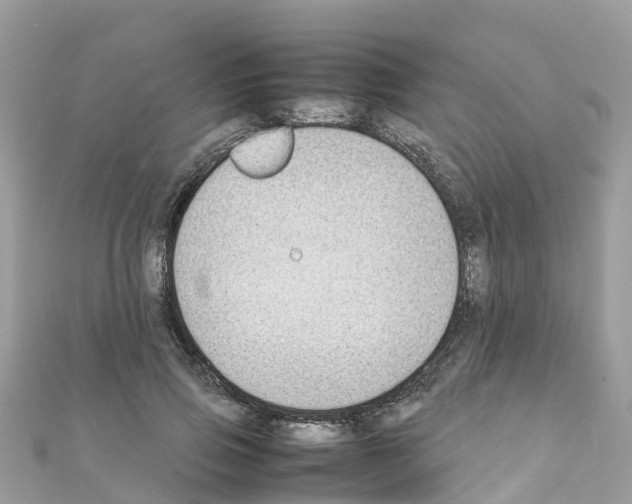 X0000111250741200908131207