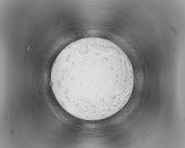 X0000111250742200908131207