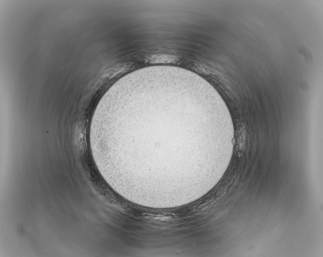 X0000111250743200908131207