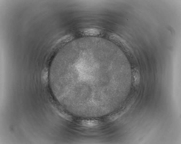 X0000111250745200908131207